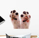 Two Smiling Dog Paws