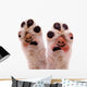 Two Smiling Dog Paws