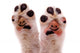 Two Smiling Dog Paws