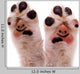 Two Smiling Dog Paws