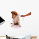 Identification of pets reader device Wall Decal