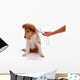 Identification of pets reader device Wall Decal