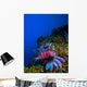 Lionfish Pterois