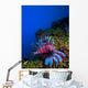 Lionfish Pterois