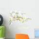 White Orchid