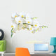 White Orchid