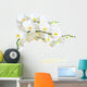 White Orchid