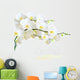 White Orchid