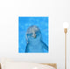 Dolphin Wall Decal