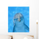 Dolphin Wall Decal