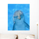 Dolphin Wall Decal
