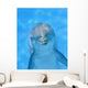 Dolphin Wall Decal