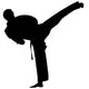 Karate - Black Silhouette Wall Decal