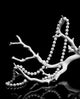 Strand of Pearls Wall Mural