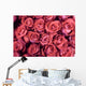 Rose Wall Mural
