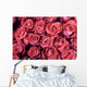 Rose Wall Mural