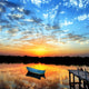 Little Boat