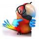 Fun Parrot Wall Decal