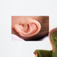 Ear of Babies Wall Mural