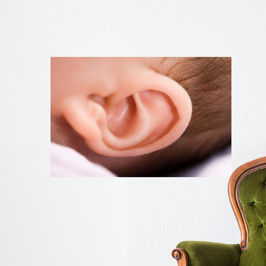 Ear of Babies Wall Mural
