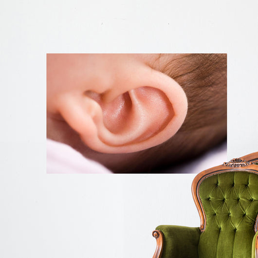 Ear of Babies Wall Mural