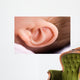 Ear of Babies Wall Mural
