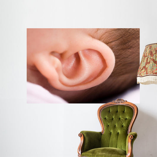 Ear of Babies Wall Mural