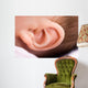 Ear of Babies Wall Mural