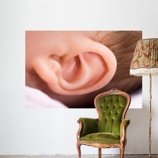 Ear of Babies Wall Mural