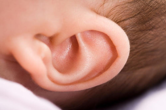 Ear of Babies Wall Mural