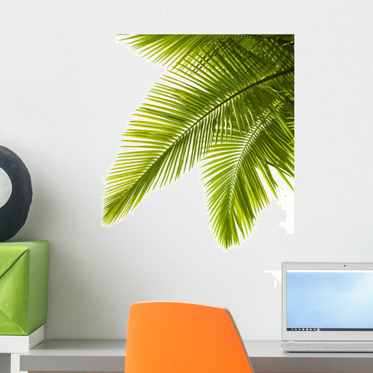 Palm Leaves White Wall Decal