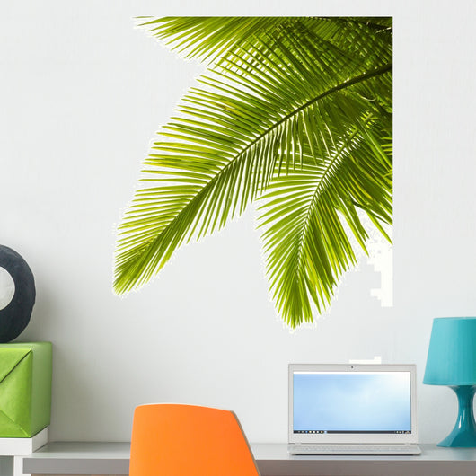 Palm Leaves White Wall Decal