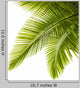 Palm Leaves White Wall Decal