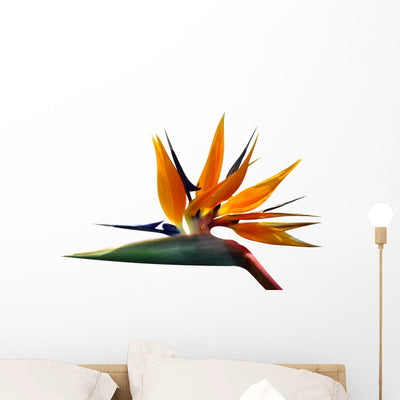 Paradise Bird Wall Decal shown on a wall
