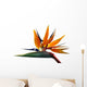 Paradise Bird Wall Decal
