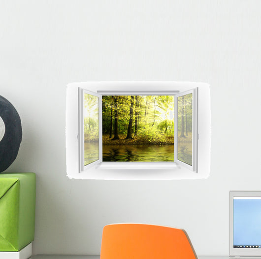 Window