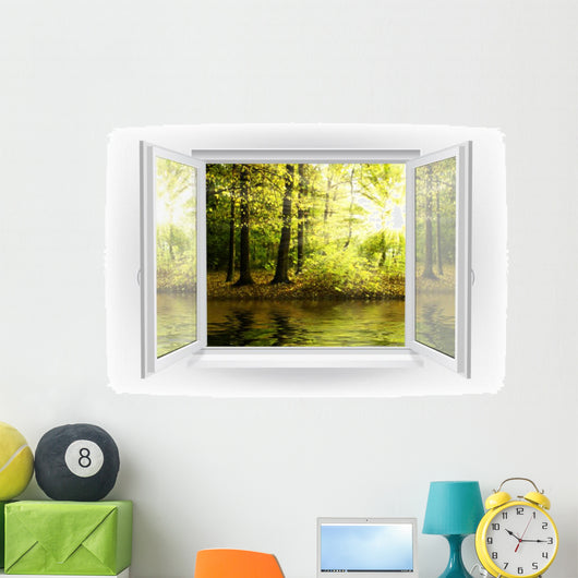 Window