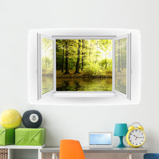 Window