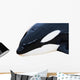 Detail Orca Wall Mural