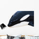 Detail Orca Wall Mural