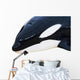 Detail Orca Wall Mural