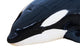 Detail Orca Wall Mural