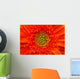 Closeup Of Orange Gerbera Flower Wall Mural