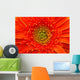 Closeup Of Orange Gerbera Flower Wall Mural