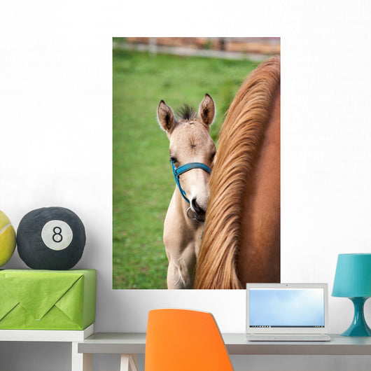 Mare and Her Foal