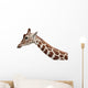 Giraffe Profile Portrait and Wall Decal