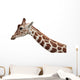 Giraffe Profile Portrait and Wall Decal