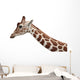Giraffe Profile Portrait and Wall Decal