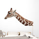 Giraffe Profile Portrait and Wall Decal