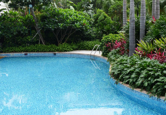 Luxury Swimming Pool Wall Mural